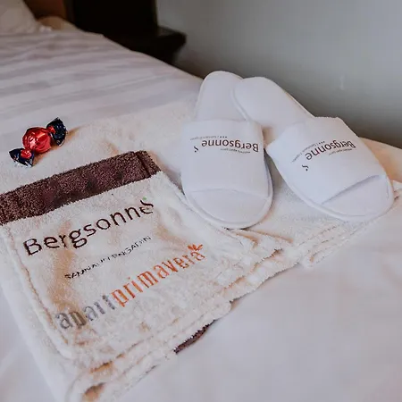 شقة فندقية Bergsonne