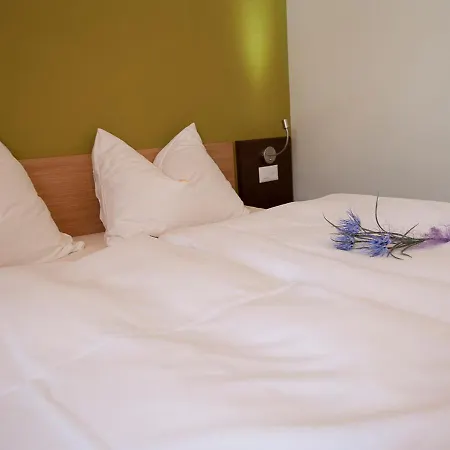 Apartment Bergsonne 3*